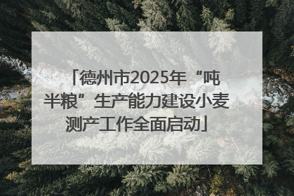 德州市2025年“吨半粮”生产能力建设小麦测产工作全面启动