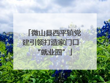 微山县西平镇党建引领打造家门口“就业圈”