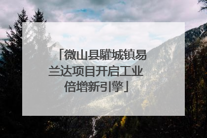 微山县驩城镇易兰达项目开启工业倍增新引擎