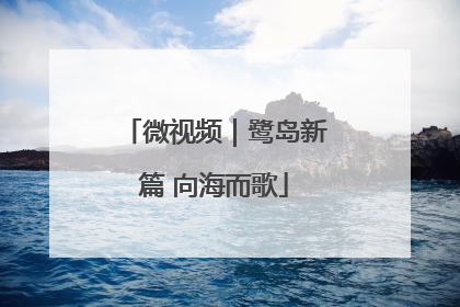 微视频｜鹭岛新篇 向海而歌