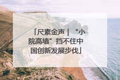尺素金声｜“小院高墙”挡不住中国创新发展步伐