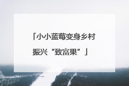 小小蓝莓变身乡村振兴“致富果”