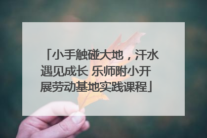小手触碰大地，汗水遇见成长 乐师附小开展劳动基地实践课程