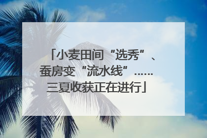 小麦田间“选秀”、蚕房变“流水线”……三夏收获正在进行