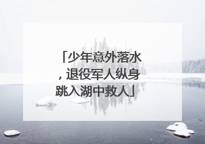 少年意外落水，退役军人纵身跳入湖中救人