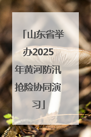 山东省举办2025年黄河防汛抢险协同演习