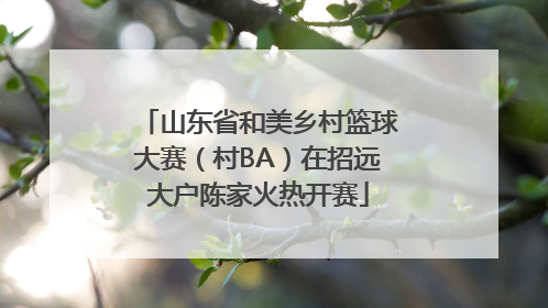 山东省和美乡村篮球大赛（村BA）在招远大户陈家火热开赛