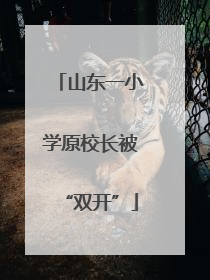 山东一小学原校长被“双开”