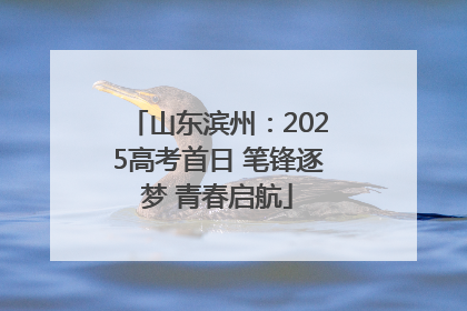 山东滨州：2025高考首日 笔锋逐梦 青春启航