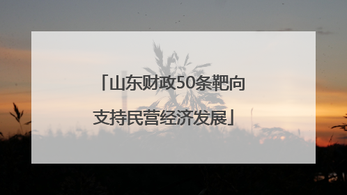 山东财政50条靶向支持民营经济发展