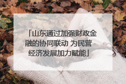 山东通过加强财政金融的协同联动 为民营经济发展加力赋能