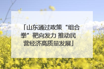 山东通过政策“组合拳”靶向发力 推动民营经济高质量发展
