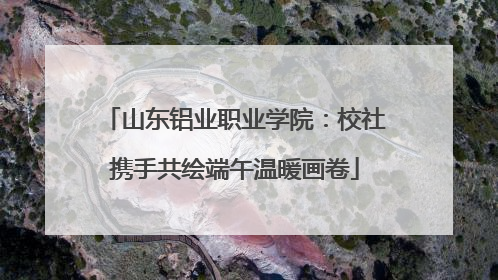 山东铝业职业学院：校社携手共绘端午温暖画卷
