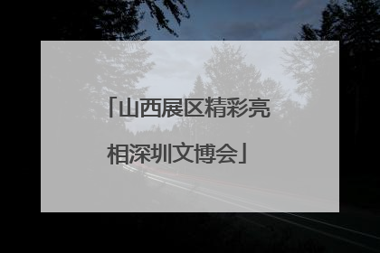 山西展区精彩亮相深圳文博会