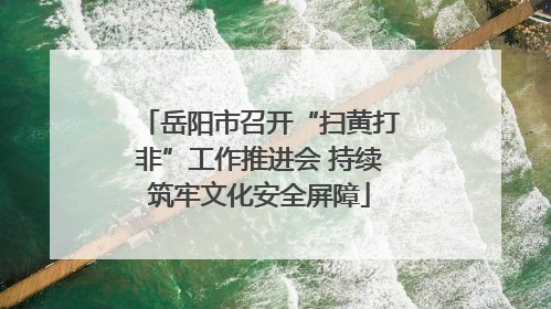 岳阳市召开“扫黄打非”工作推进会 持续筑牢文化安全屏障