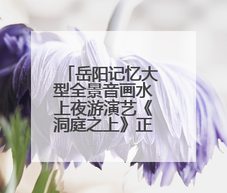 岳阳记忆大型全景音画水上夜游演艺《洞庭之上》正式启航