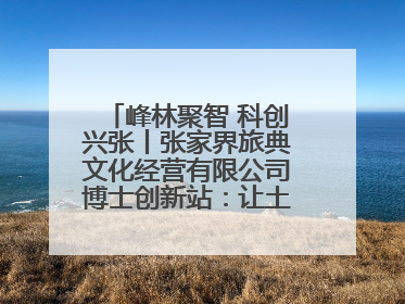 峰林聚智 科创兴张丨张家界旅典文化经营有限公司博士创新站：让土家织锦“智”造出非遗新传奇