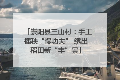 崇阳县三山村：手工插秧“慢功夫” 绣出稻田新“丰”景