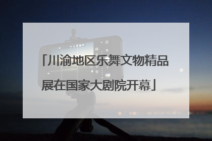 川渝地区乐舞文物精品展在国家大剧院开幕