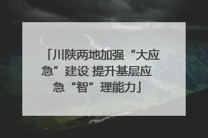 川陕两地加强“大应急”建设 提升基层应急“智”理能力