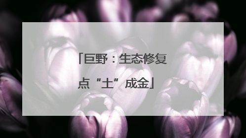 巨野：生态修复点“土”成金