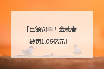 巨额罚单！金穗春被罚1.06亿元