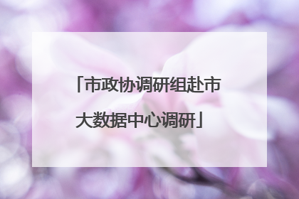 市政协调研组赴市大数据中心调研