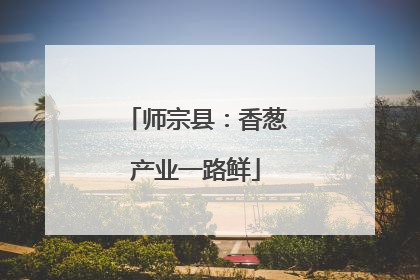 师宗县：香葱产业一路鲜