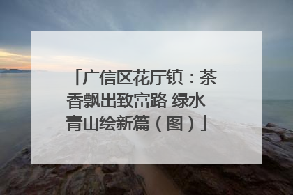 广信区花厅镇：茶香飘出致富路 绿水青山绘新篇（图）