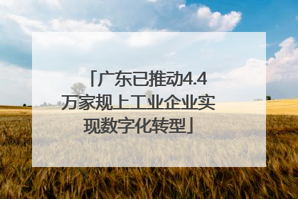 广东已推动4.4万家规上工业企业实现数字化转型