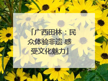 广西田林：民众体验非遗 感受文化魅力