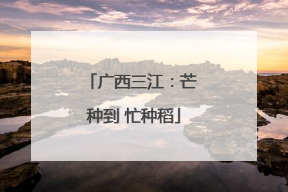 广西三江：芒种到 忙种稻