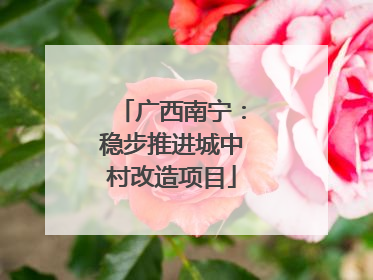 广西南宁：稳步推进城中村改造项目