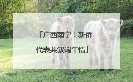 广西南宁：新侨代表共叙端午情