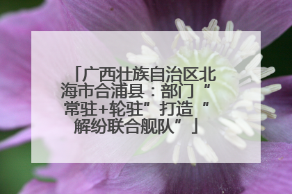 广西壮族自治区北海市合浦县：部门“常驻+轮驻”打造“解纷联合舰队”