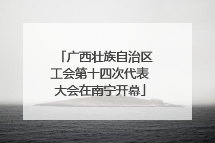 广西壮族自治区工会第十四次代表大会在南宁开幕