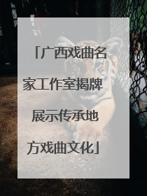 广西戏曲名家工作室揭牌 展示传承地方戏曲文化