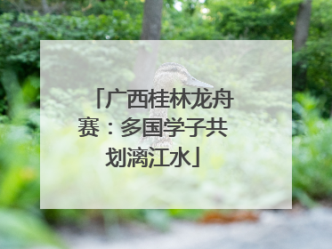 广西桂林龙舟赛：多国学子共划漓江水