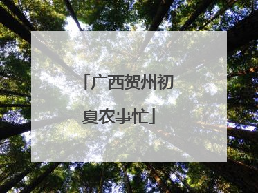 广西贺州初夏农事忙