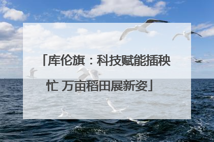 库伦旗：科技赋能插秧忙 万亩稻田展新姿