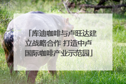 库迪咖啡与卢旺达建立战略合作 打造中卢国际咖啡产业示范园