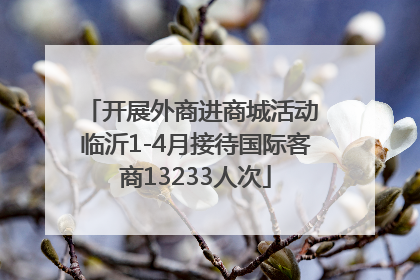 开展外商进商城活动 临沂1-4月接待国际客商13233人次