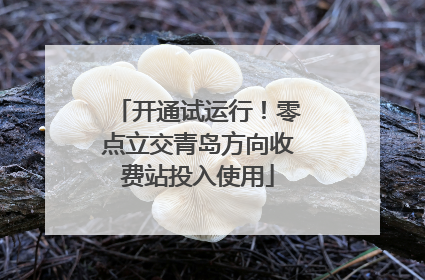 开通试运行！零点立交青岛方向收费站投入使用