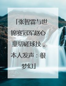 张智霖与世锦赛冠军赵心童切磋球技，本人发声：很梦幻