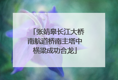 张靖皋长江大桥南航道桥南主塔中横梁成功合龙