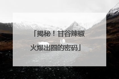 揭秘！甘谷辣椒火爆出圈的密码