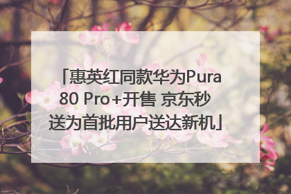 惠英红同款华为Pura 80 Pro+开售 京东秒送为首批用户送达新机