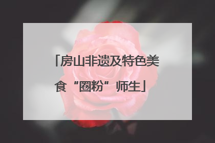 房山非遗及特色美食“圈粉”师生