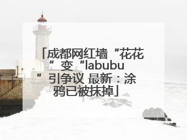 成都网红墙“花花”变“labubu”引争议 最新：涂鸦已被抹掉