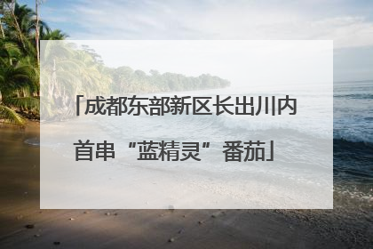成都东部新区长出川内首串“蓝精灵”番茄